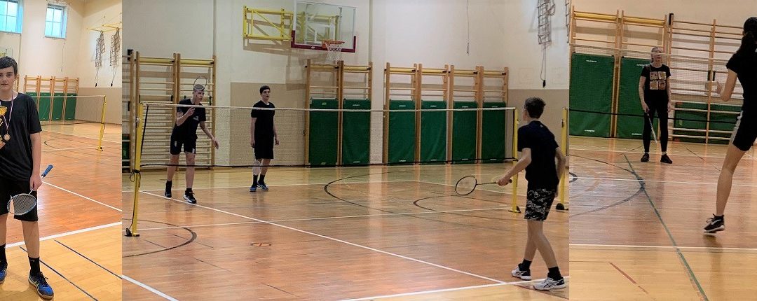 Tekmovanje v badmintonu (področno in državno)